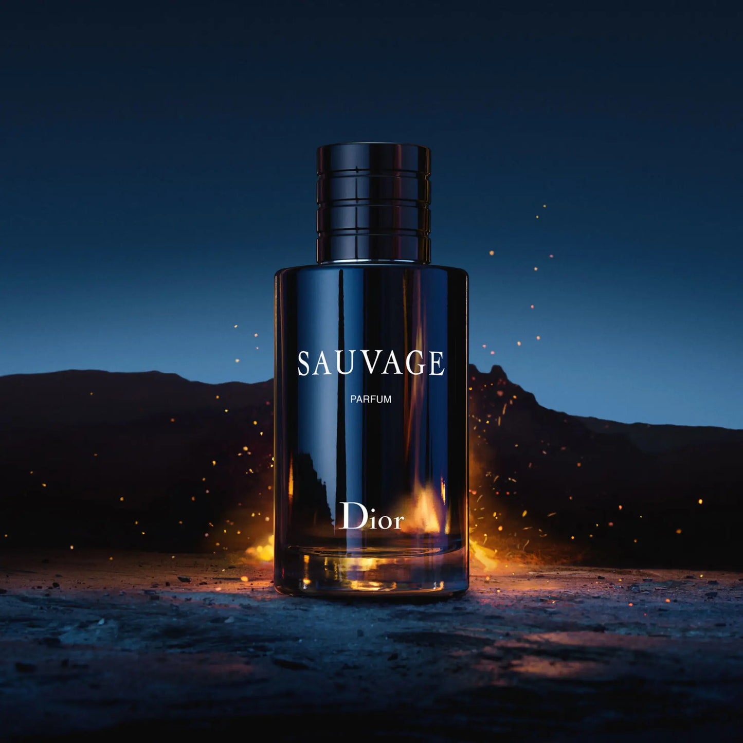 DIOR SAUVAGE PERFUME 100ML