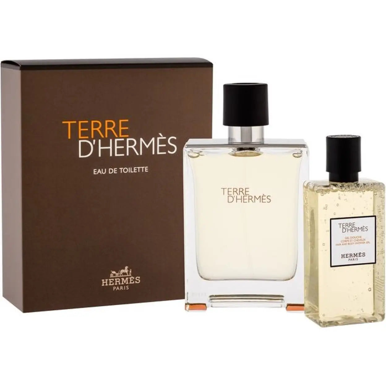 HERMES TERRE D'HERMES SET EDT 100ML + SHG 80ML