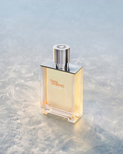 HERMES TERRE D'HERMES EAU GIVREE EDP 100ML