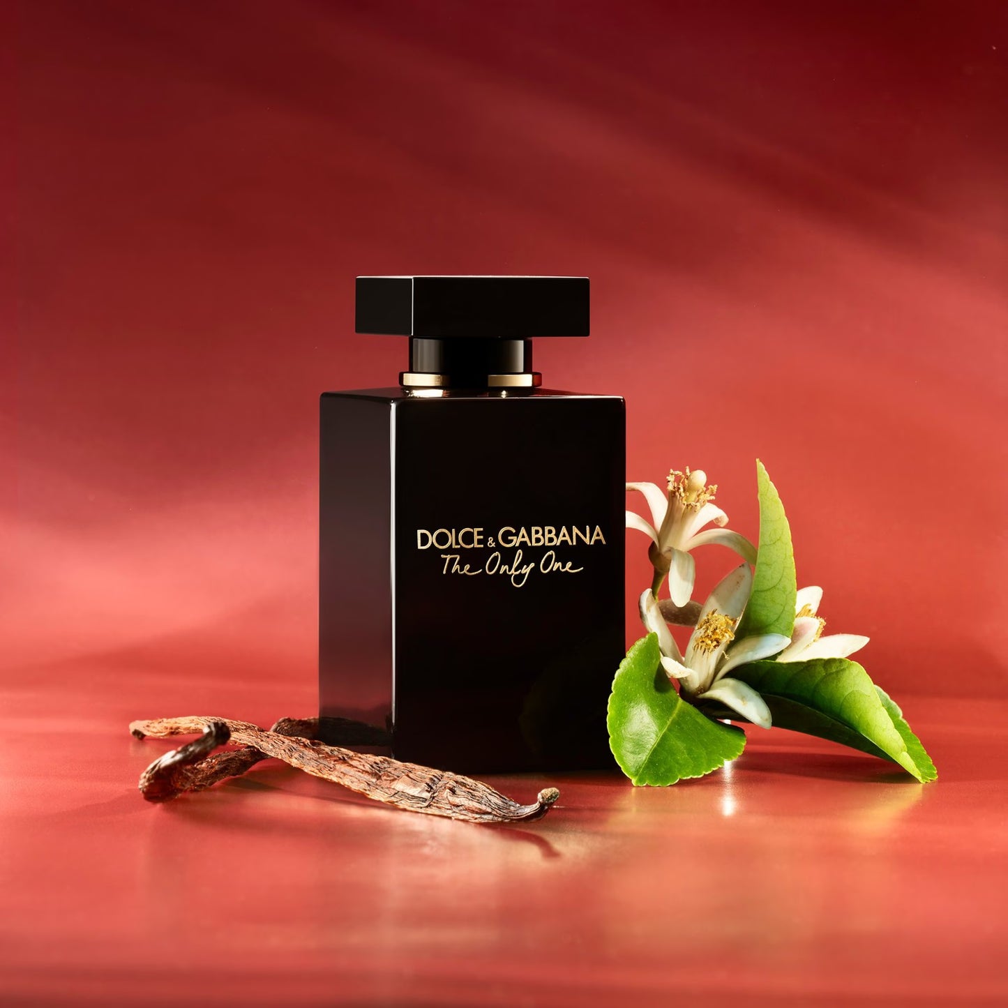D&amp;G THE ONLY ONE INTENSE EDP 50ML