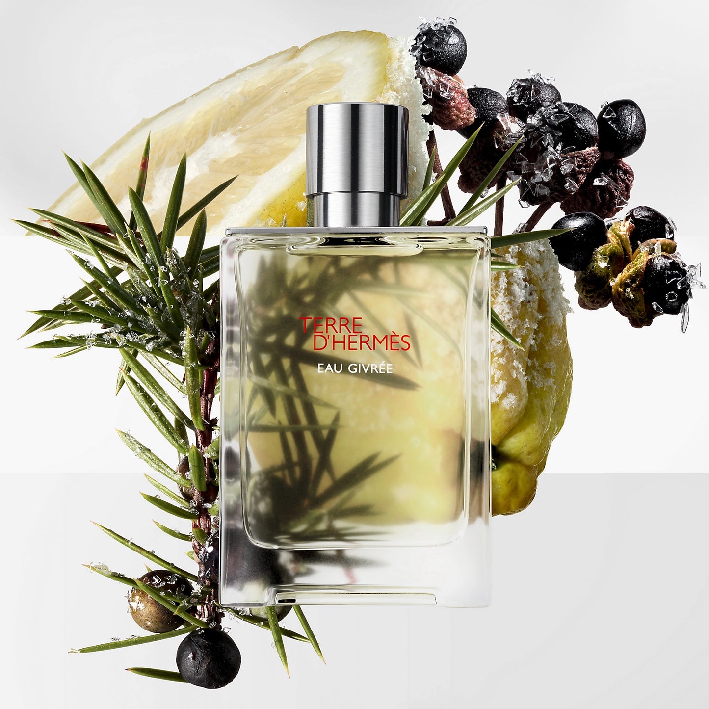 HERMES TERRE D'HERMES EAU GIVREE EDP 100ML