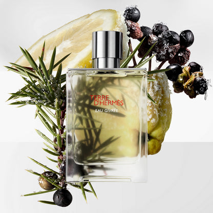 HERMES TERRE D'HERMES EAU GIVREE EDP 100ML